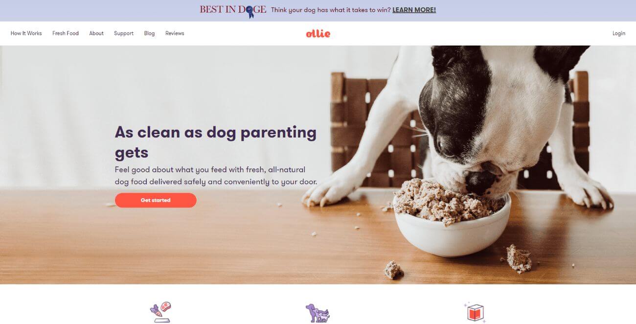 23 Best Pet Affiliate Programs in 2024 (Based on Data)